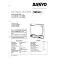 SANYO C25EG90B00 Service Manual